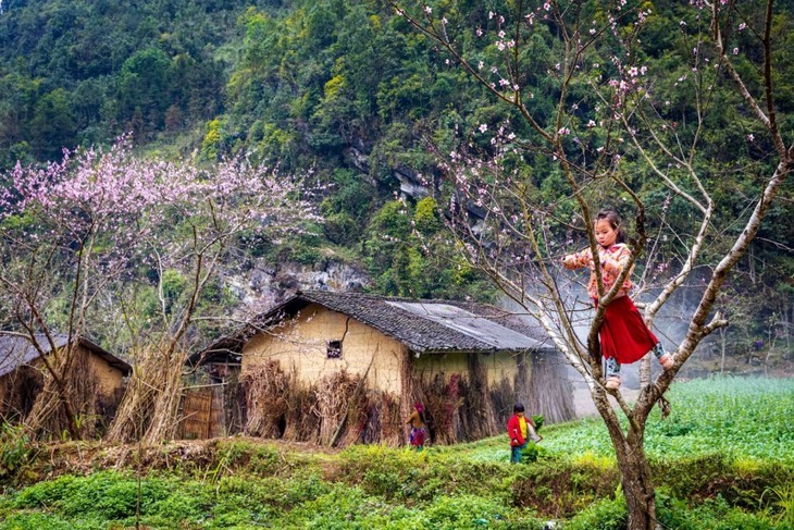 Splendeur du plateau karstique de Dông Van à Hà Giang - ảnh 9