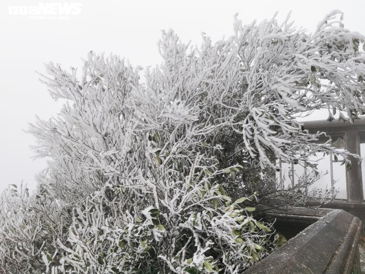 Dans quels endroits peut-on voir de la neige au Vietnam? - ảnh 1