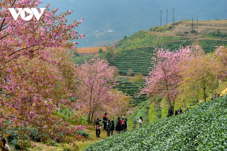 Huit destinations idéales au Vietnam pour la randonnée - ảnh 1