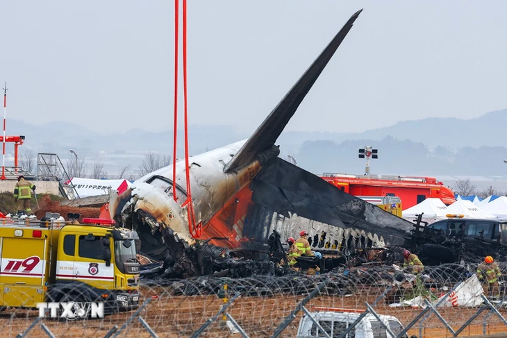 Crash d’avion en République de Corée: les corps des 179 victimes retrouvés - ảnh 1