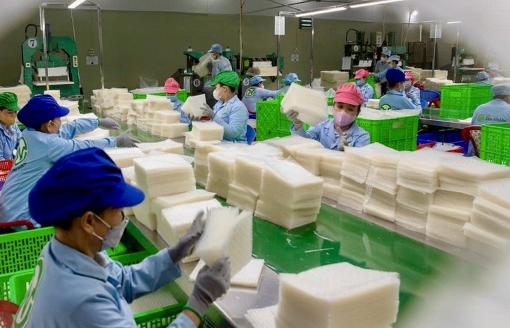 Les jeunes agriculteurs à l’aube d’une nouvelle ère - ảnh 2