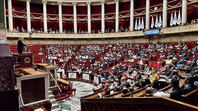 Le Vietnam affirme son rôle moteur à l’Assemblée parlementaire de la Francophonie à Paris - ảnh 1