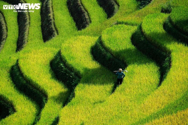 Hang Dang Dê à la saison des récoltes  - ảnh 5