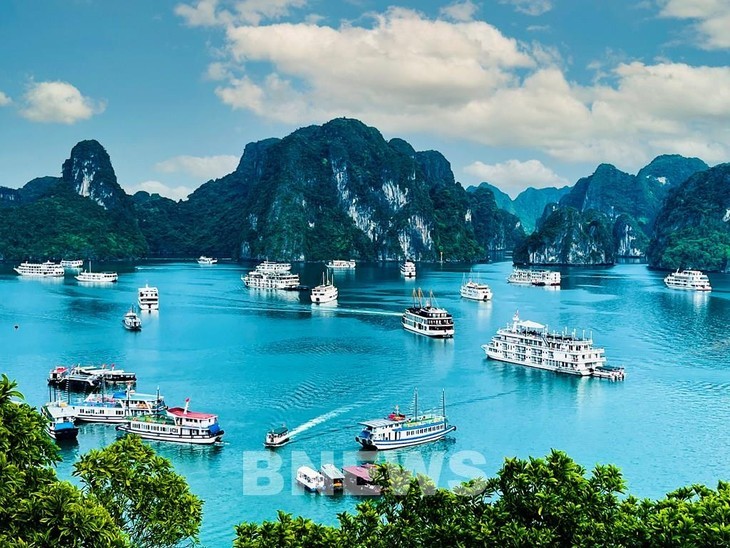 Ha Long Bay-Cat Ba Archipelago recognized as world natural heritage - ảnh 1