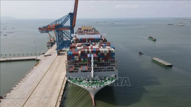 Vietnam’s seaports capable enough to receive super container ships - ảnh 1