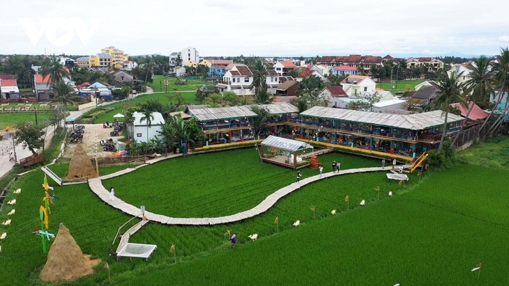 25 travel agencies in Quang Nam certified “green tourism”  - ảnh 1