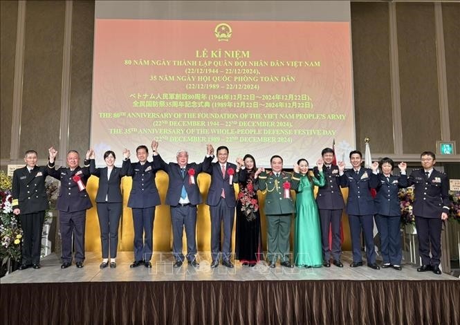 Defense cooperation is cornerstone of Vietnam-Japan ties  - ảnh 1