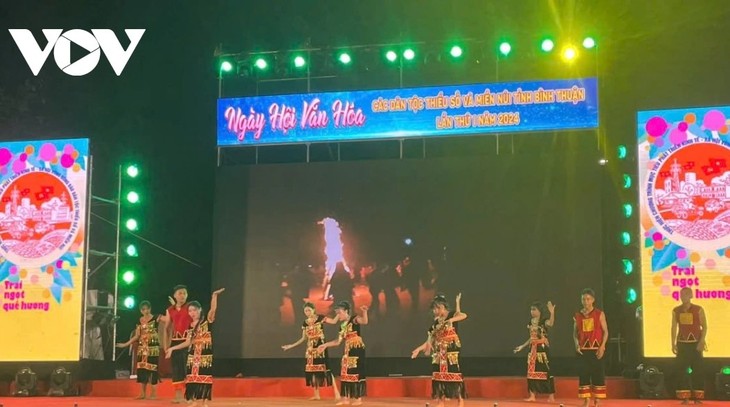 Binh Thuan cultural, ethnic festival attracts hundreds of artisans  - ảnh 1