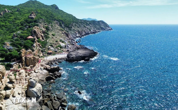 Vietnam to establish, manage 27 maritime protected areas by 2030 - ảnh 1