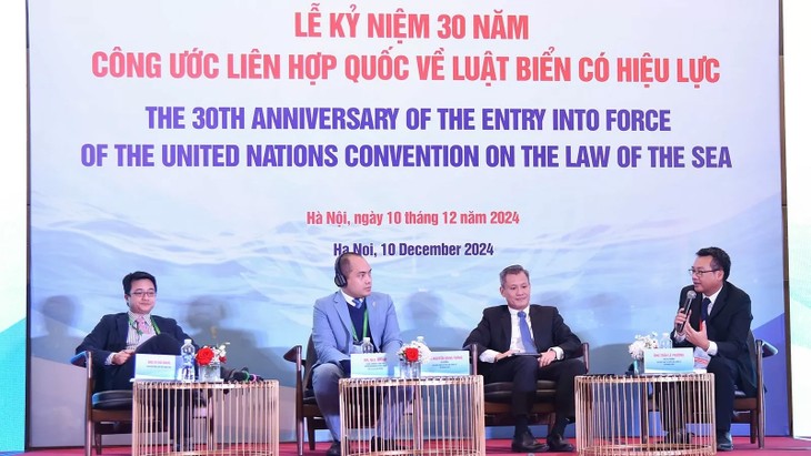 Vietnam works to promote BBNJ Agreement  - ảnh 1