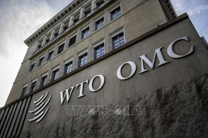 China launches WTO dispute complaint over US tariffs - ảnh 1