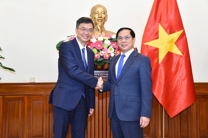 Deputy PM discusses cross-border exchanges with Party Secretary of China's Guangxi - ảnh 1