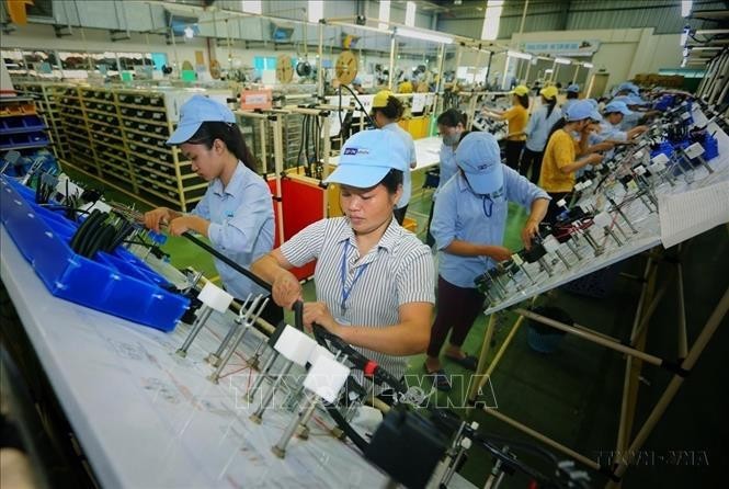 Vietnamese enterprises introduced to India's mandatory technical standards - ảnh 1