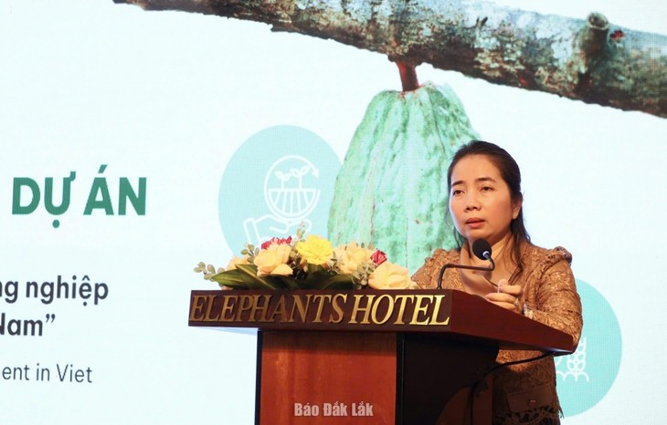 5-year sustainable cocoa farming in Dak Lak reviewed  - ảnh 2