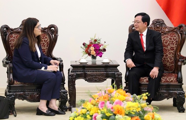 Vietnam reaffirms support for peace solutions in Palestine  - ảnh 1