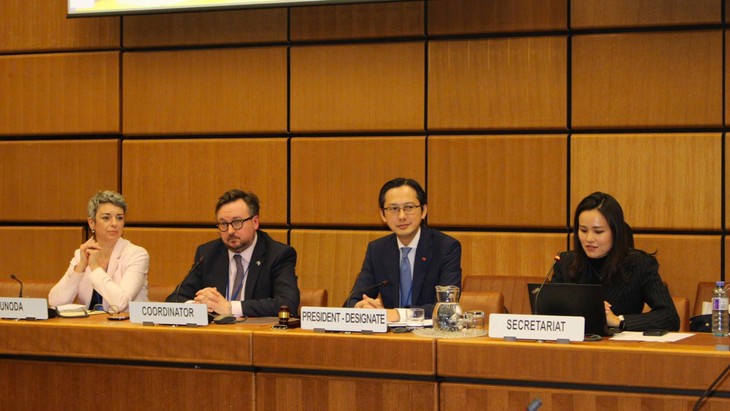 Vietnam consults on Nuclear Non Proliferation Treaty Review Conference - ảnh 1