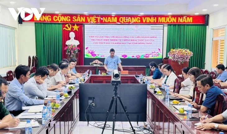 Dong Thap intensifies IUU fishing prevention, ready for EC inspection - ảnh 2