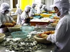 Vietnam dan AS mulai melakukan konsultasi ke-2 tentang  guguatan udang Vietnam.  - ảnh 1