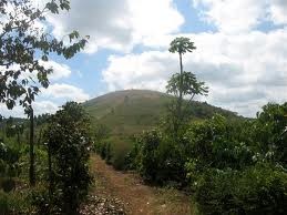 Upacara berdoa arwah pahlawan yang gugur diadakan di bukit Doc Lap - ảnh 1