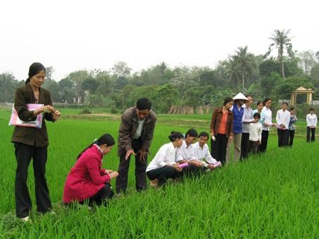 Memperkuat pekerjaan pengajaran kejuruan pertanian kepada kaum petani. - ảnh 1