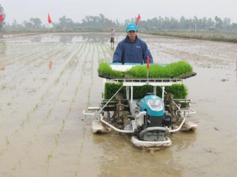 Mekanisasi turut membangun pedesaan baru - ảnh 4