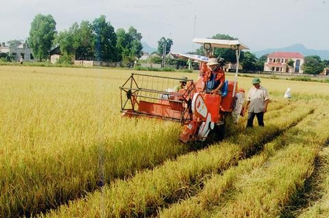 Mekanisasi turut membangun pedesaan baru - ảnh 1