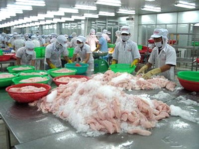 Vietnam mengekspor 30.000 ton ikan patin ke Federasi Rusia. - ảnh 1