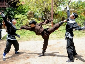 Pembukaan Festival Internasional ke-4  Silat Tradisional Vietnam. - ảnh 1