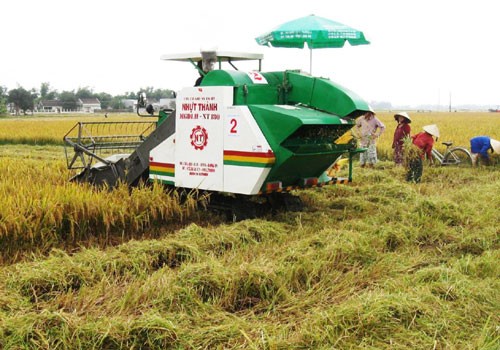 Mengubah wajah pedesaan berkat pada program pedesaan baru. - ảnh 1