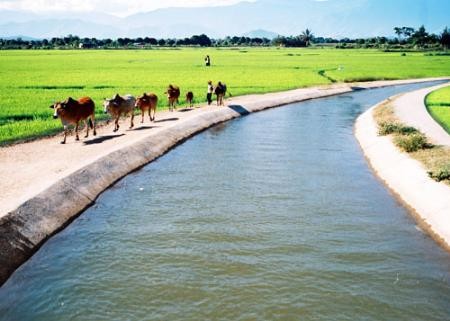 Provinsi Ninh Thuan membangun pedesaan baru. - ảnh 3