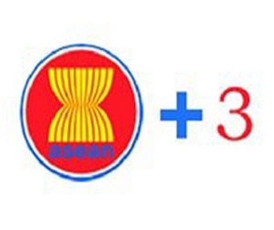 Konferensi pejabat tinggi ASEAN+3 tentang kesejahteraan sosial  dan perkembangan - ảnh 1