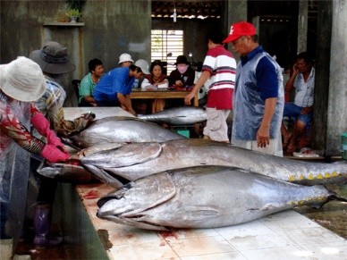 Vietnam berusaha mencapai 5,8 juta ton hasil perikanan pada 2013 - ảnh 1