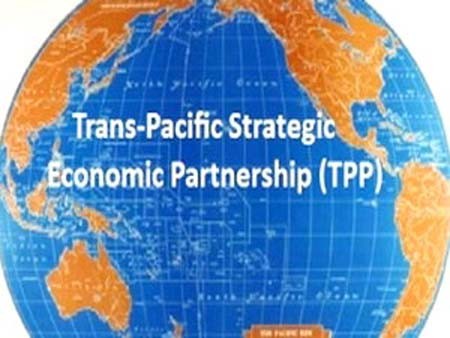 Kesempatan dan tantangan bagi badan usaha Vietnam yang ditimbulkan Perjanjian TPP - ảnh 1