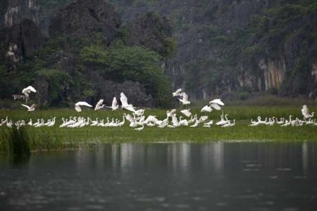 Vietnam menyambut “Hari tanah kegenangan air dunia 2013” - ảnh 1