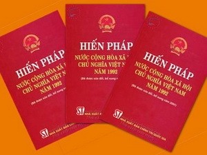 Mengambil pendapat terhadap Rancangan Amandemen Undang-Undang Dasar-1992 - ảnh 1