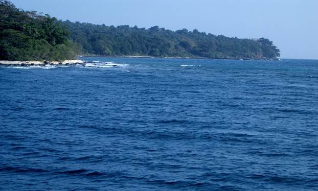 Musim semi tiba lebih awal di daerah laut Barat Daya - ảnh 5