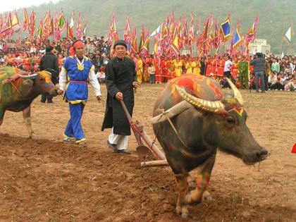 Pesta adat Membajak Sawah- Merangsang perkembangan pertanian - ảnh 1