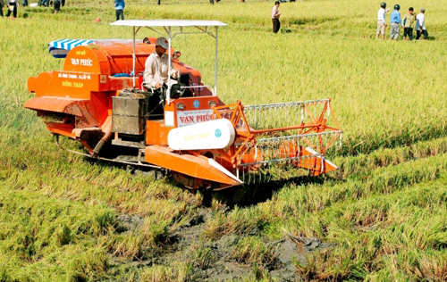 Provinsi An Giang bergotong royong membangun pedesaan baru - ảnh 4