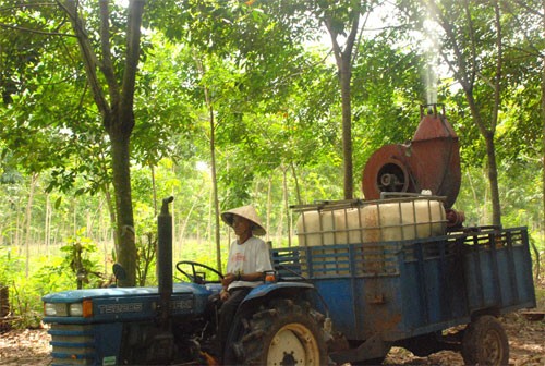 Perubahan di zona pemukiman warga etnis minoritas provinsi Binh Phuoc - ảnh 3