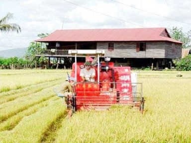 Hasil permulaan dalam pembangunan pedesaan baru di daerah Tay Nguyen - ảnh 1