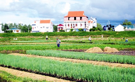 Hasil-guna pola konektivitas antara 4 faktor di kota madya Quang Yen, provinsi Quang Ninh - ảnh 1