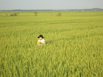 Daya hidup Koperasi Dai Phong - ảnh 2