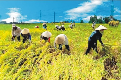 Meningkatkan kualitas perancangan pembangunan pedesaan baru - ảnh 3