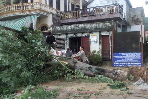 Vietnam Tengah berfokus mengatasi akibat taupan Nari, angin berpusar, bencana hujan dan banjir - ảnh 1