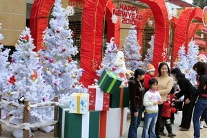 Pengurus Besar Front Tanah Air Vietnam mengunjungi kaum Kristiani  Lang Son-Cao Bang sehubungan dengan Hari Natal - ảnh 1