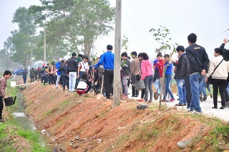 Kota Da Nang bergerak menjalankan “Pesta Penghijauan” tahun 2014 - ảnh 1