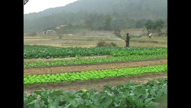 Kabupaten pulau garis depan Co To menyelesaikan target pembangunan pedesaan baru - ảnh 3