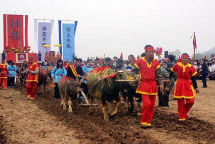 Pesta Membajak Sawah Doi Son - tahun 2014 - ảnh 1