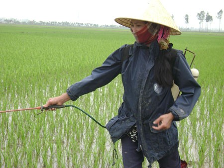 Lokakarya “Merekomendasikan ketentuan-ketentuan tentang keselamatan dan kebersihan kerja di bidang pertanian dalam RUU tentang Keselamatan dan Kebersihan Kerja - ảnh 1