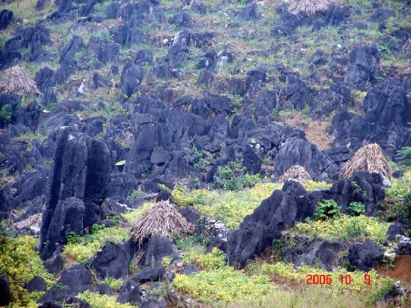 Daerah ketinggian batu Dong Van  menyerap kedatangan wisatawan domestik dan wisatawan mancanegara - ảnh 1